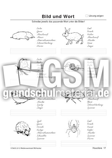 BuW Haustiere17.pdf